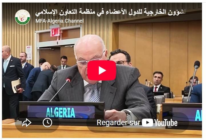 Statement by the Minister of State at the Meeting of Foreign Ministers of the Member States of the Organisation of Islamic Cooperation